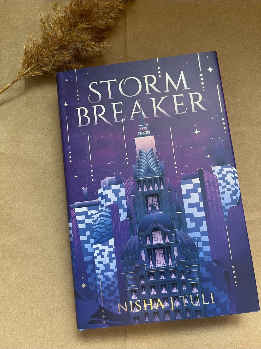 Storm Breaker by Nisha J. Tuli — FairyLoot Special Edition.